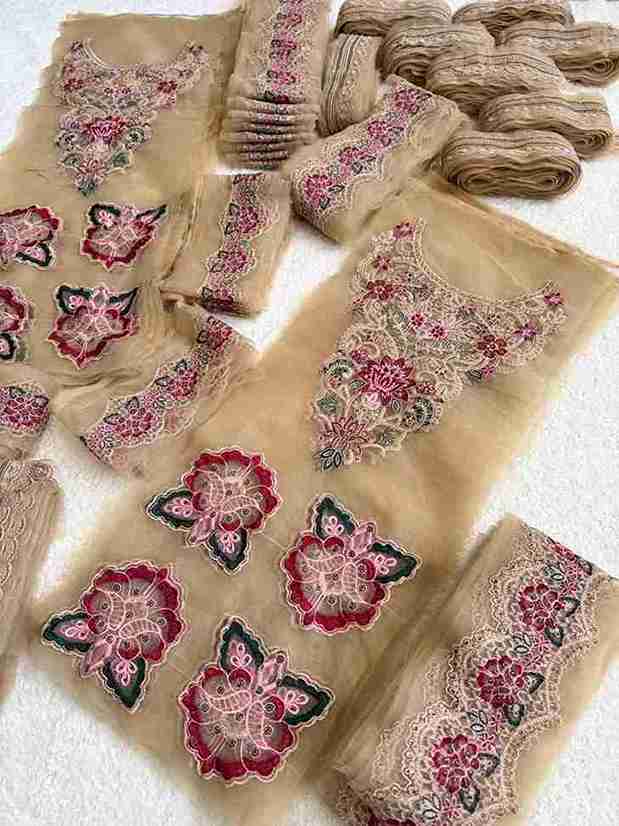 Set (Neckline, Bunches, Hemline & Dupatta Patti)❕